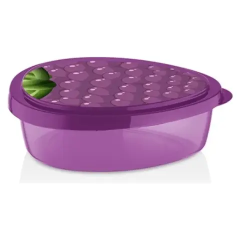 IRIS LUXPLASTIC L-00920 blackberry storage box 800ml