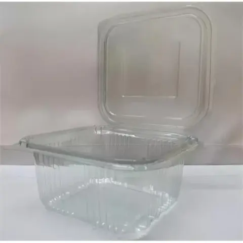 1020030200 Party food storage container with one-piece lid 500ml 100 pcs