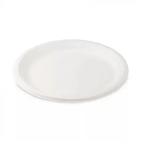 101005016 Party PLA Plate Biodegradable 22.8cm 50 pcs