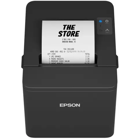 EPSON TM-T20IV(101)