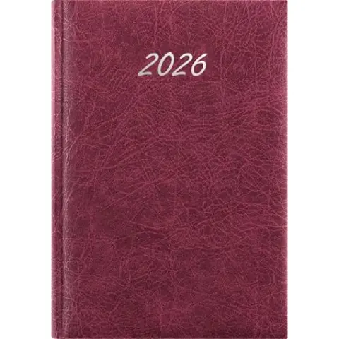 DAYLINER Rebel Calendar planner A5 daily 2026 burgundy