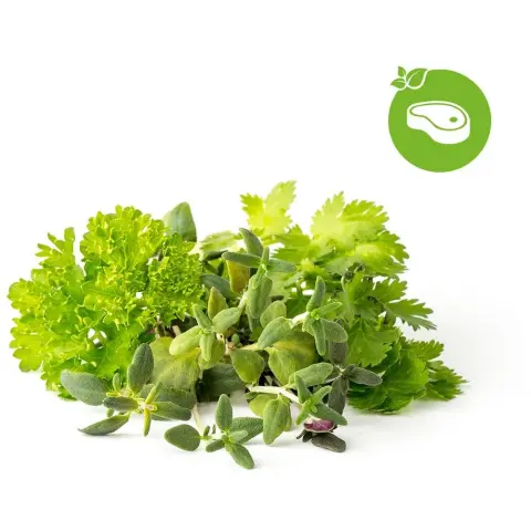CLICKNGROW Grill&Steak Mix kapszula magvakkal és szubsztrátummal 9db