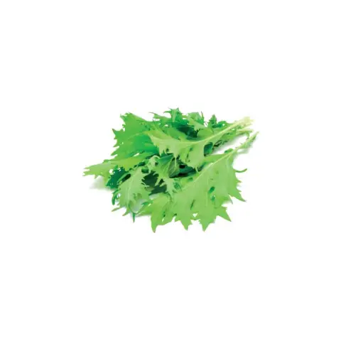 CLICKNGROW Levélmustár kapszula magokkal és táptalajjal 9db