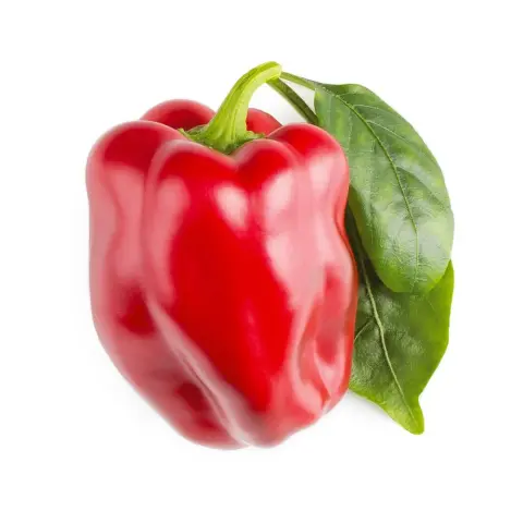 CLICKNGROW Édes pirospaprika kapszula magokkal és aljzattal 3db