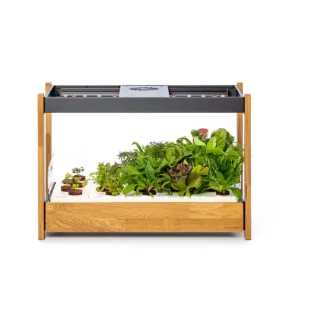 CLICKNGROW Click & Grow 25 fekete