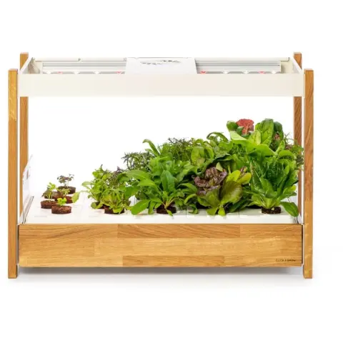 CLICKNGROW Click & Grow 25 fehér