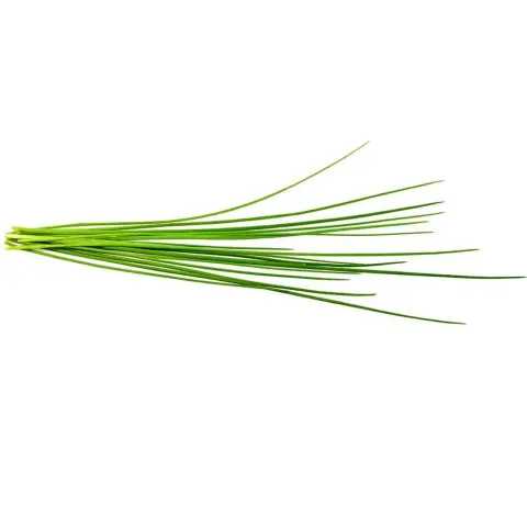 CLICKNGROW Metélőhagyma növénykapszula utántöltő Smart Gardenhez 3 db