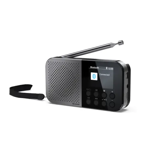 SHARP OSAKA Pocket/Handheld Portable Digital Radio Storm Grey