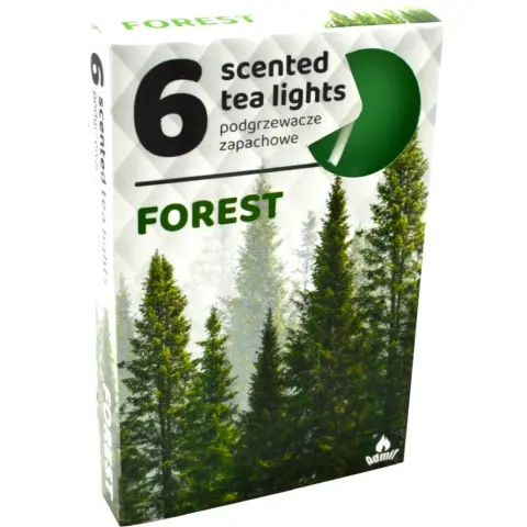 Scented tealight with forest scent 6 pcs