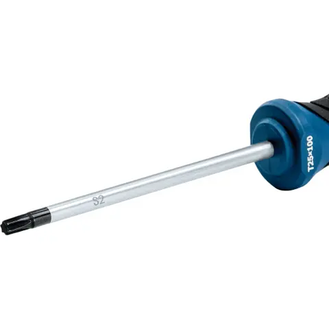 BOSCH Csavarhúzó TX25 100mm 1600A01V0D