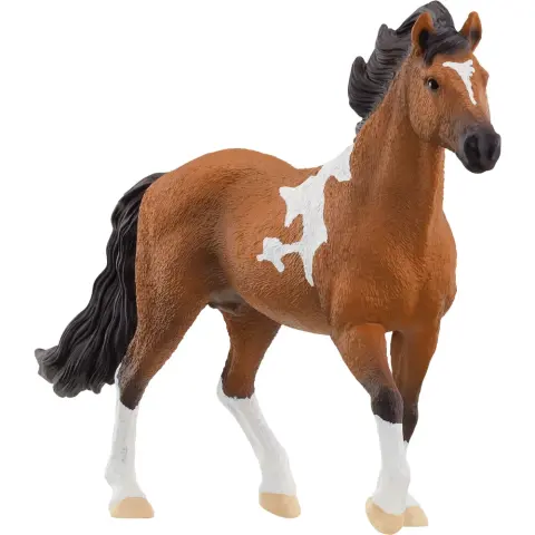 SCHLEICH Horse Club Mangalarga Marchador csődör 13978