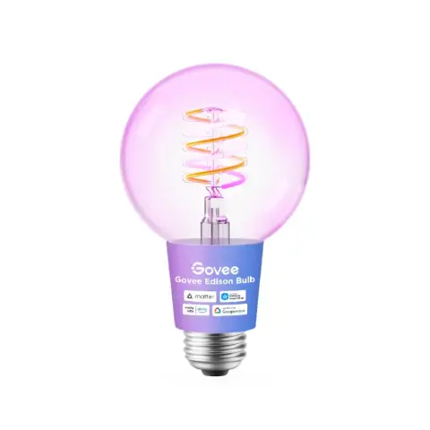 GOVEE Okos Edison izzó G80 E27 R14C1CC1