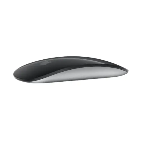 APPLE Magic Mouse (2024) Multi-Touch surface - black