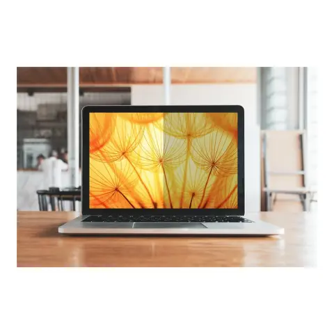 3M Privacy filter filter Bright Screen 13" BPNDE005