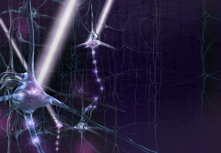 Nobel-díj 2026: A fényérzékeny moszatok esete a neurológiával