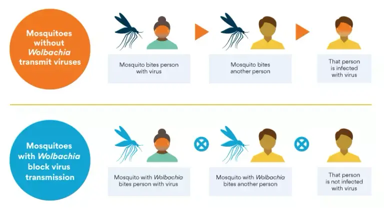 Galéria megnyitása