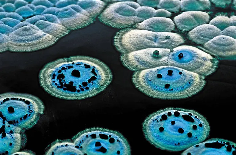 Otvorite galeriju