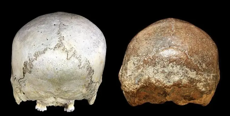 Otvorite galeriju