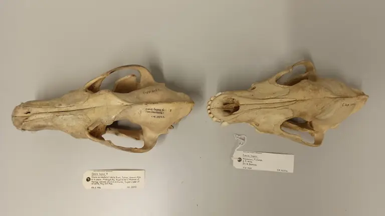 Otvorite galeriju